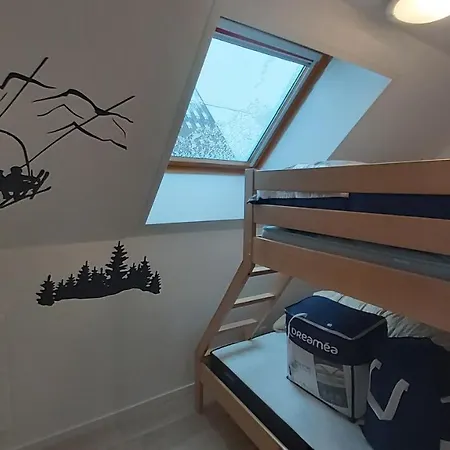 La Foret Des Marmottes * Besse-et-Saint-Anastaise