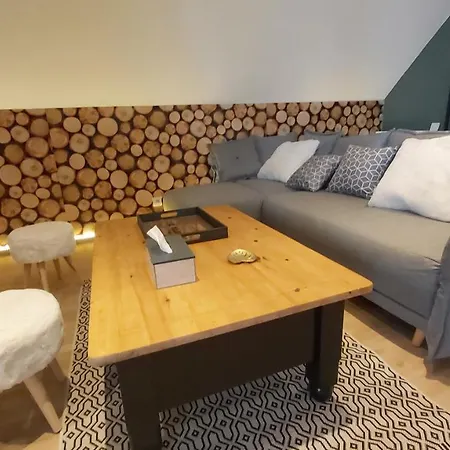 La Foret Des Marmottes * Besse-et-Saint-Anastaise