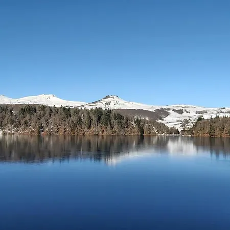 La Foret Des Marmottes