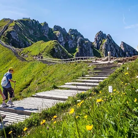 La Foret Des Marmottes Апартаменты Бес-э-Сент-Анастез