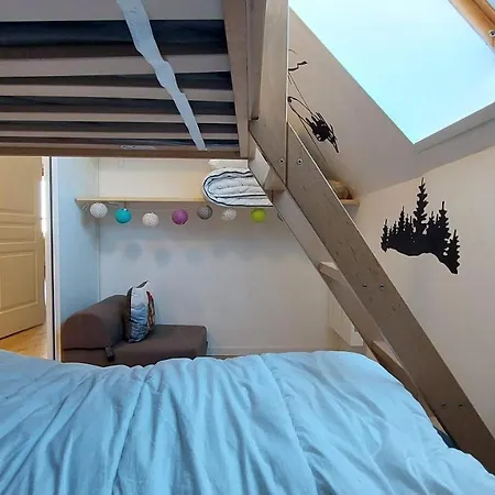 La Foret Des Marmottes Apartament