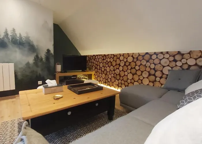 La Foret Des Marmottes Besse-et-Saint-Anastaise