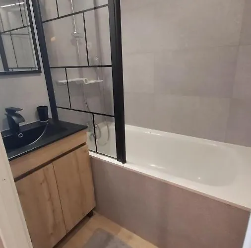 La Foret Des Marmottes Besse-et-Saint-Anastaise