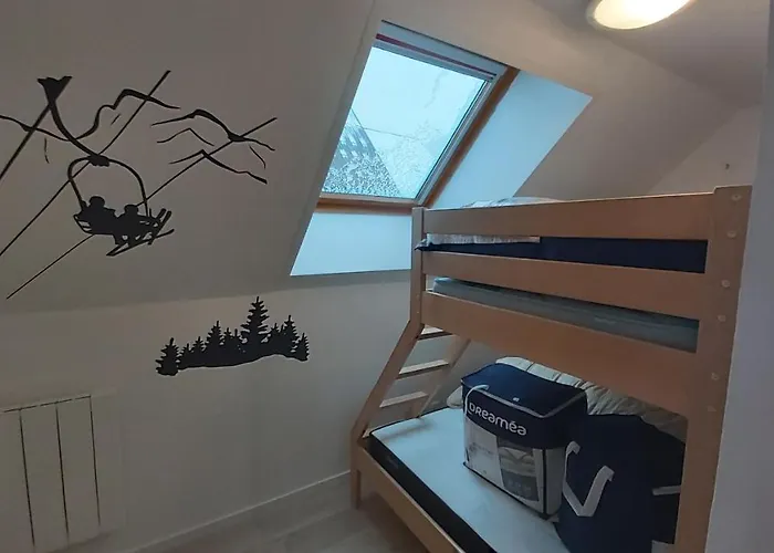 La Foret Des Marmottes * Besse-et-Saint-Anastaise