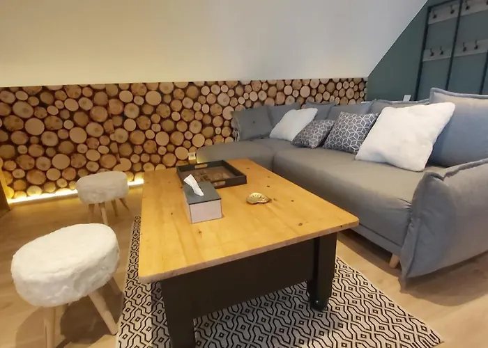 La Foret Des Marmottes * Besse-et-Saint-Anastaise