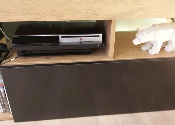 La Foret Des Marmottes * Besse-et-Saint-Anastaise