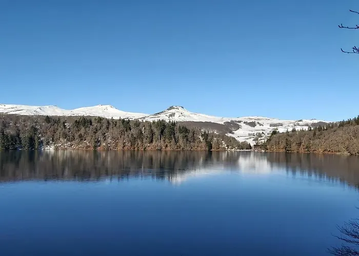 La Foret Des Marmottes